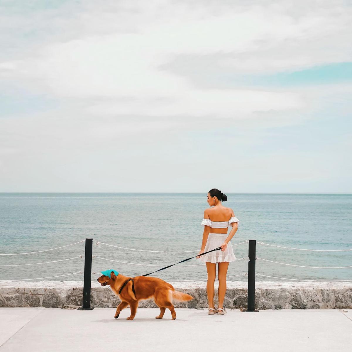 Avani+ Hua Hin Resort Cha-Am Exterior photo
